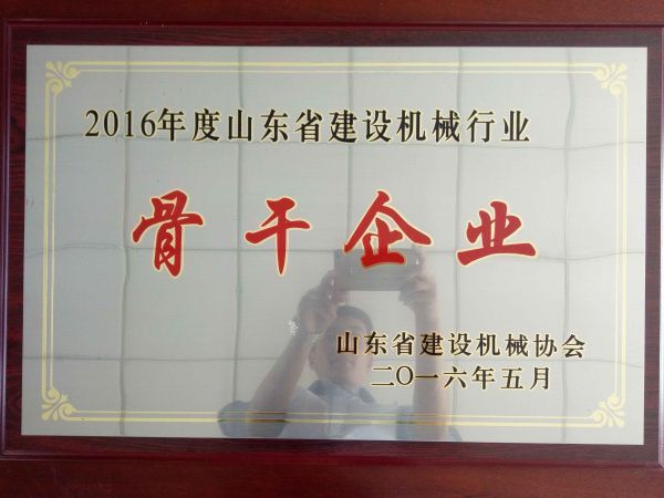 2016年度山東省建設機械行業(yè)骨干企業(yè)
