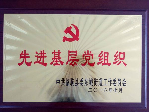 先進(jìn)基層黨組織